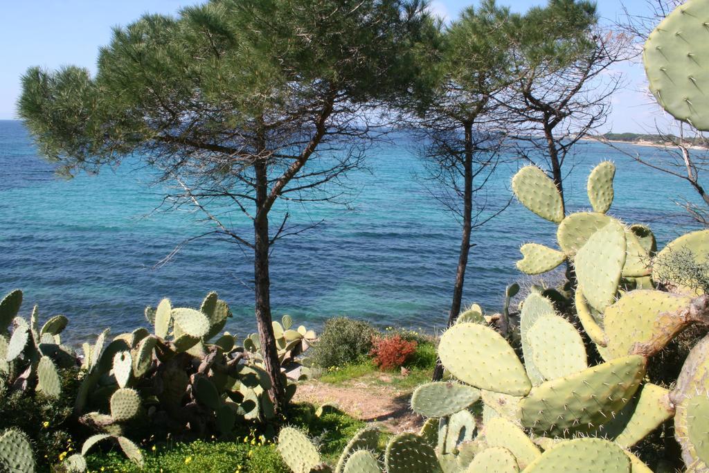 Gangdigiorgia Villa Capitana Buitenkant foto